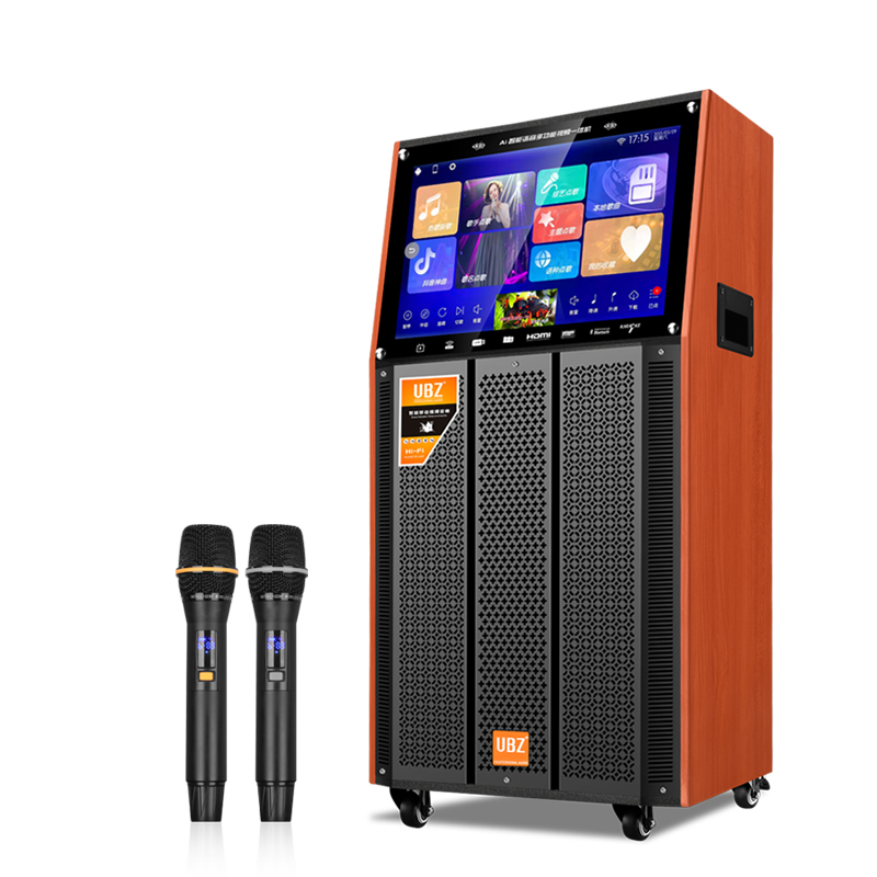110V充电音箱带屏幕户外拉杆音响带显示屏