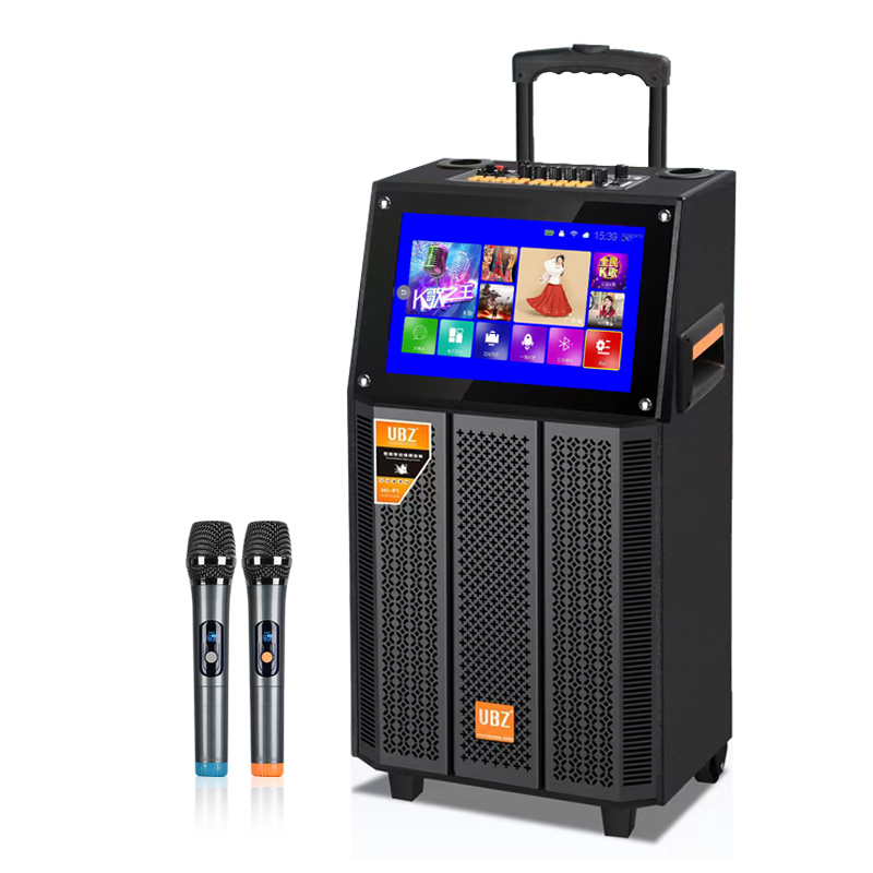 移动户外带视频音响110V充电拉杆音箱